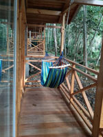 bhutan jungle lodge punakha  (3).jpeg